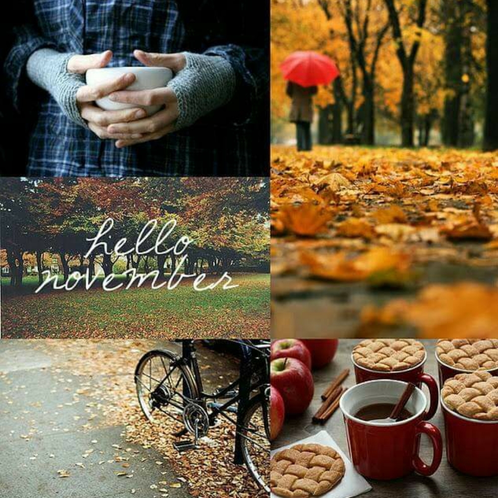 🌷3/$10 Fall SALE!!!